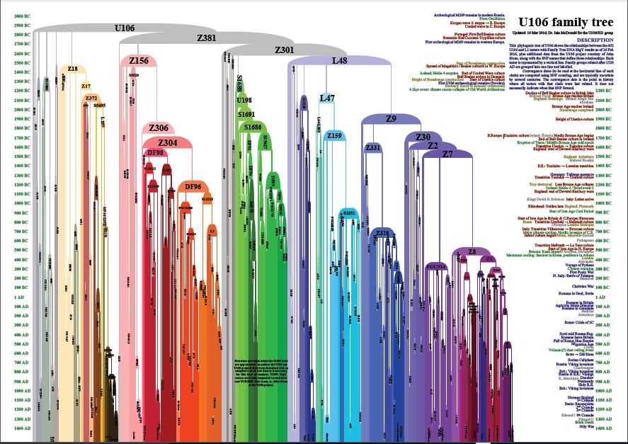 U106 family tree