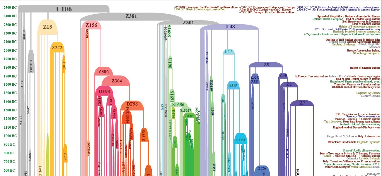 U106 timeline